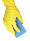 Sponge with hand
