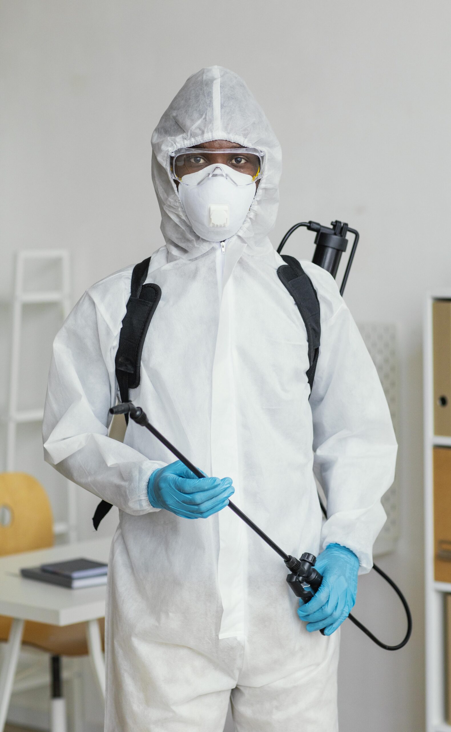 Termite Control Service For Companies in Karachi City Pakistan